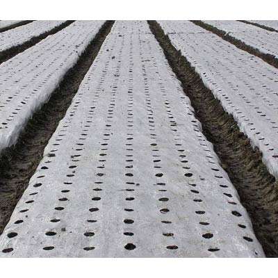 Perforated Mulch Film